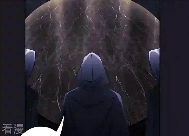 最豪赘婿 龙王殿第240话 飞入敌营