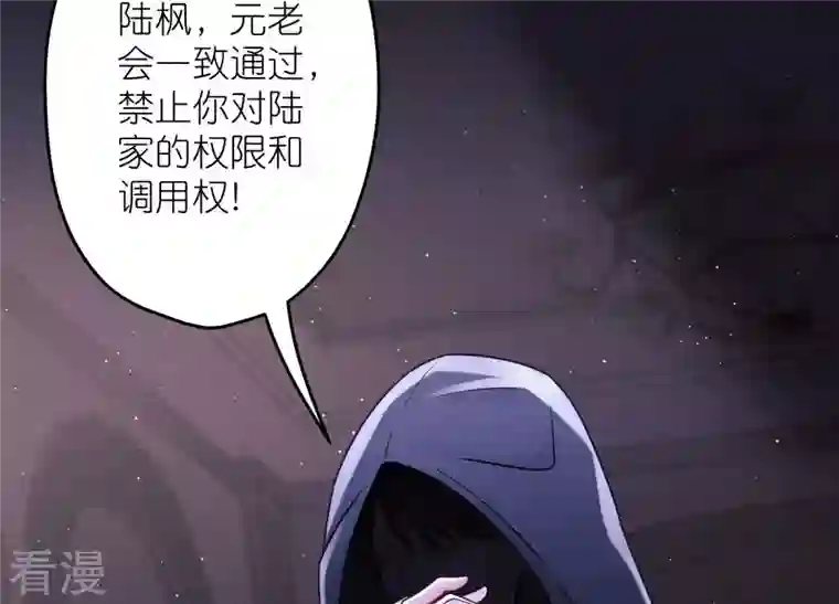 最豪赘婿 龙王殿第240话 飞入敌营