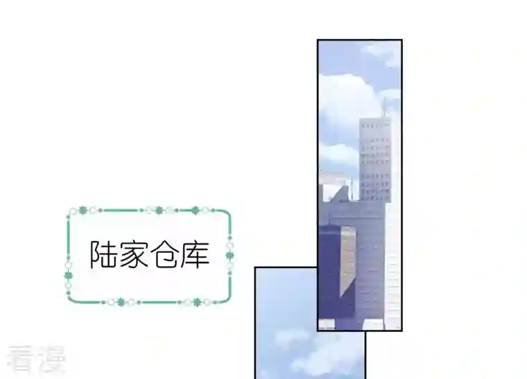 最豪赘婿 龙王殿第240话 飞入敌营