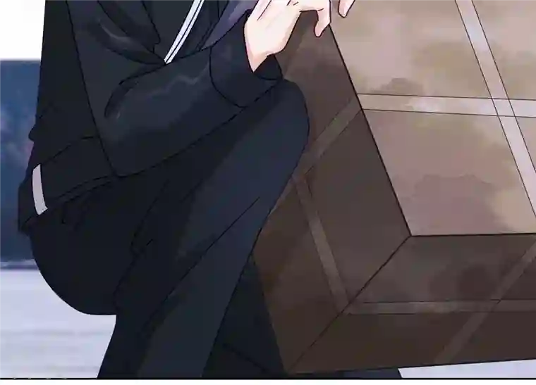 最豪赘婿 龙王殿第240话 飞入敌营