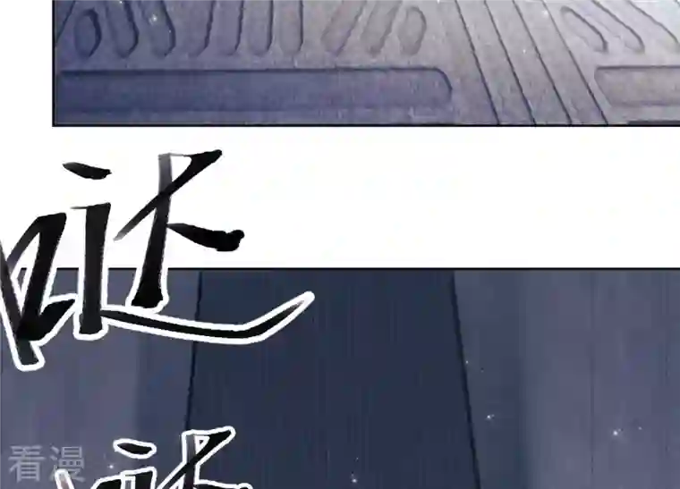 最豪赘婿 龙王殿第240话 飞入敌营