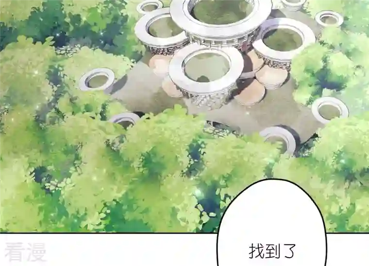 最豪赘婿 龙王殿第240话 飞入敌营