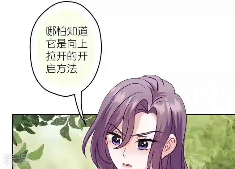 最豪赘婿 龙王殿第242话 无从下手的门
