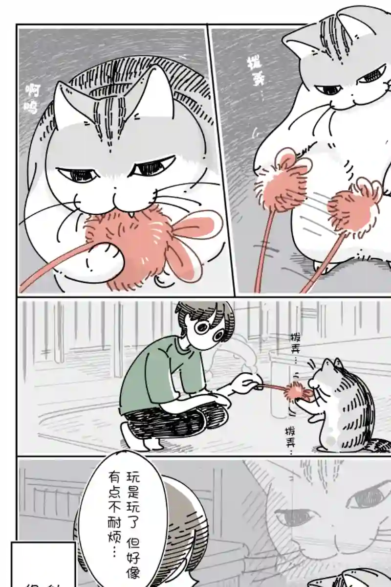 关于养猫我一直是新手第124话