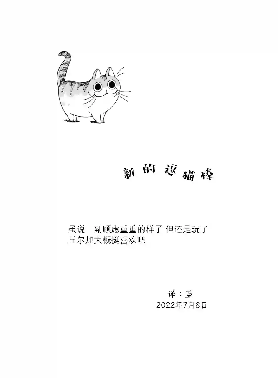 关于养猫我一直是新手第124话