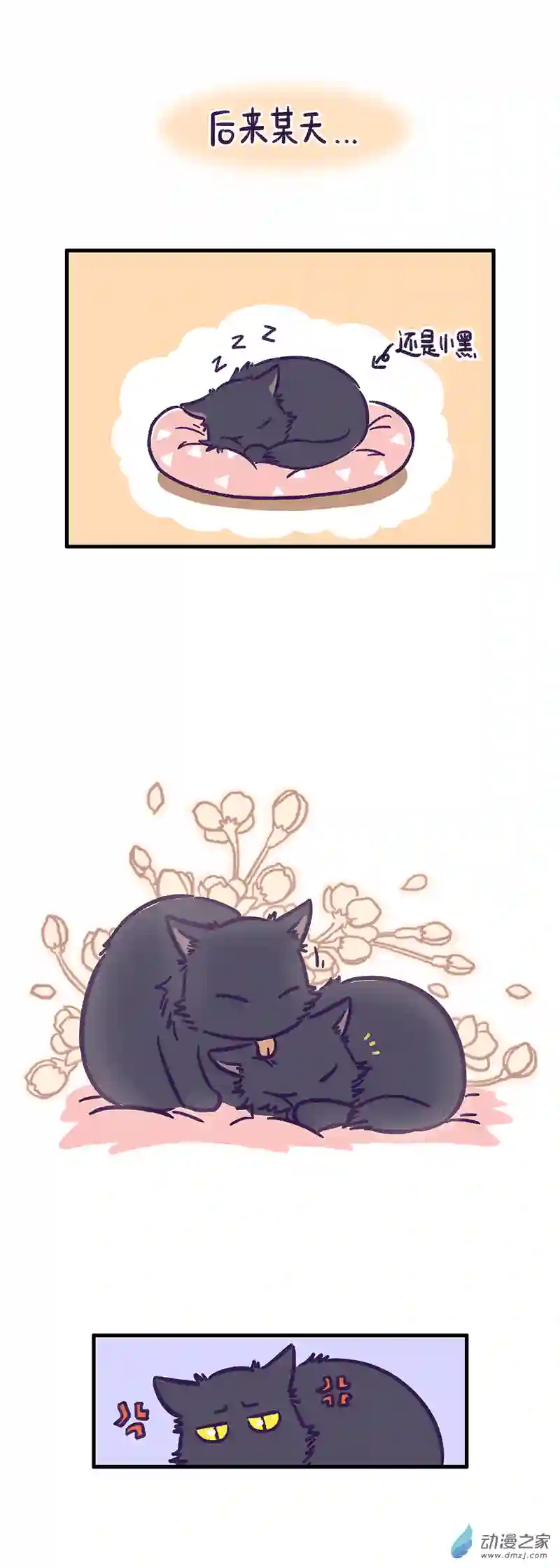 我养的可能不是猫，是...第15话 善变的喵