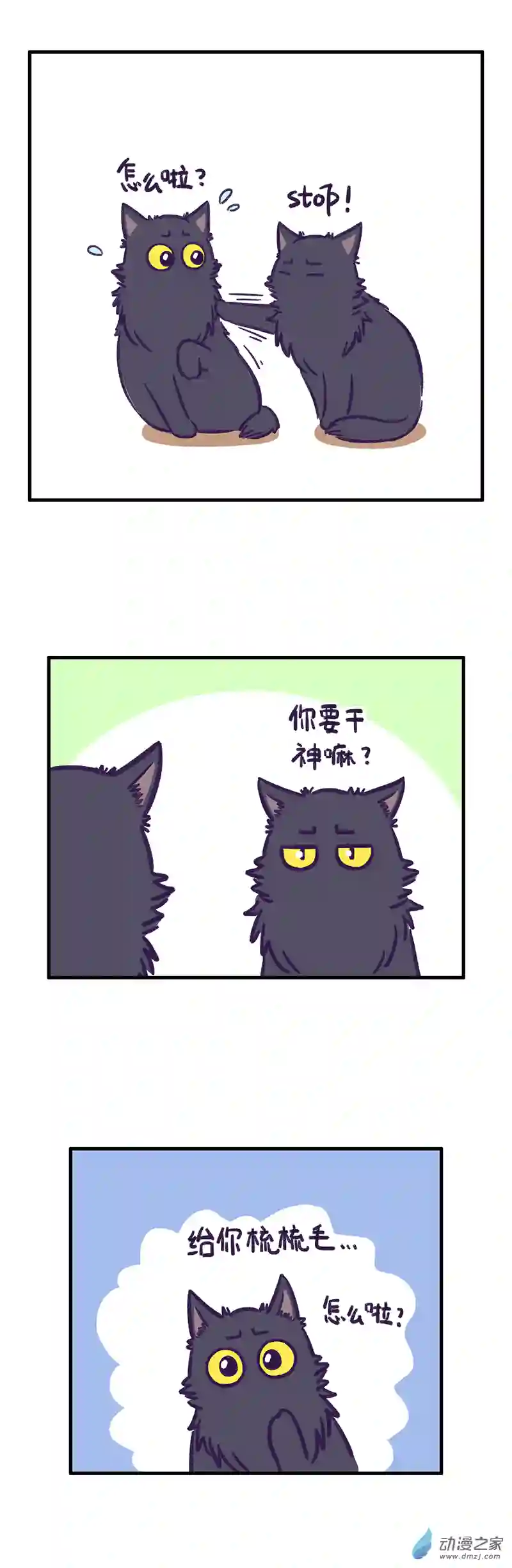 我养的可能不是猫，是...第15话 善变的喵