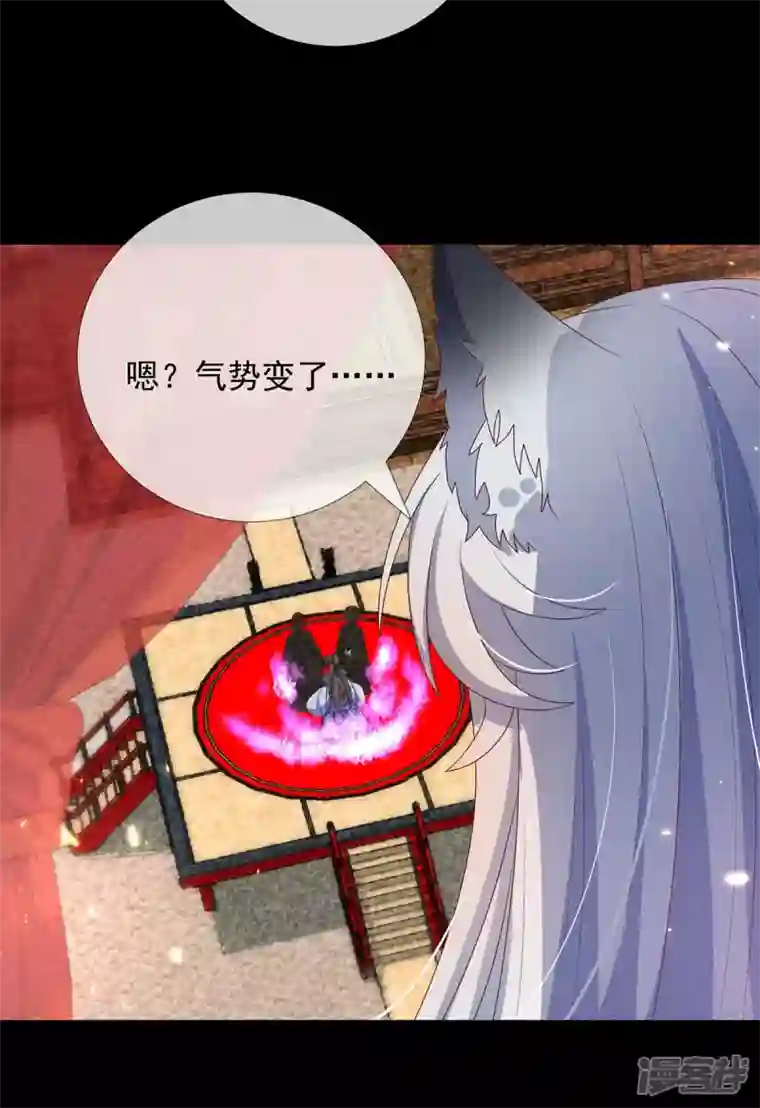 妖王的后妃都是我的第17话 春宵一刻值千金