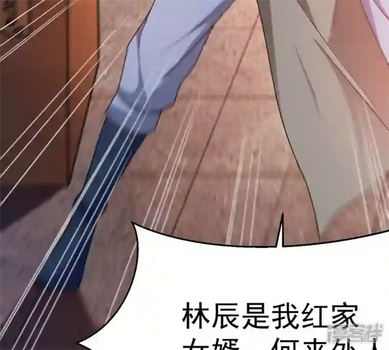 吞噬永恒第202话 新一任的红家家主