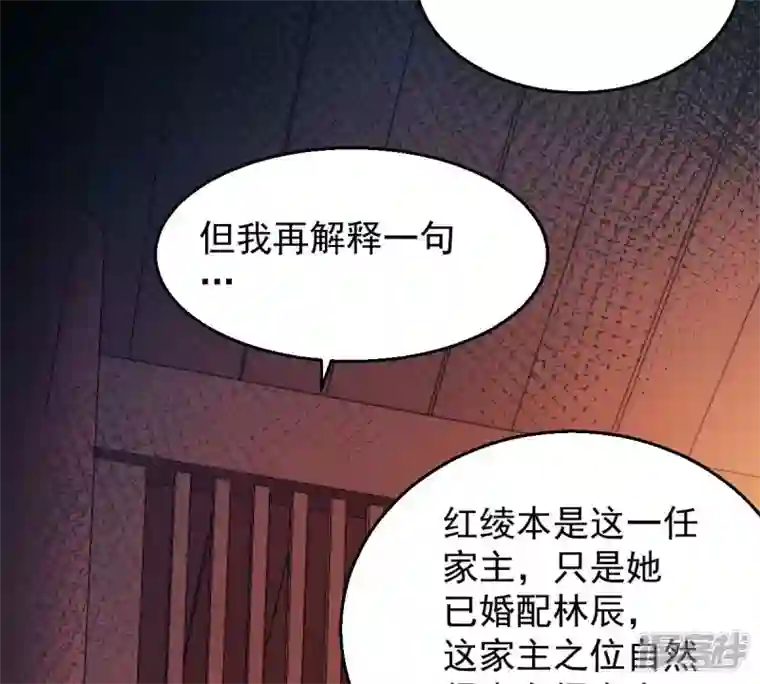 吞噬永恒第202话 新一任的红家家主