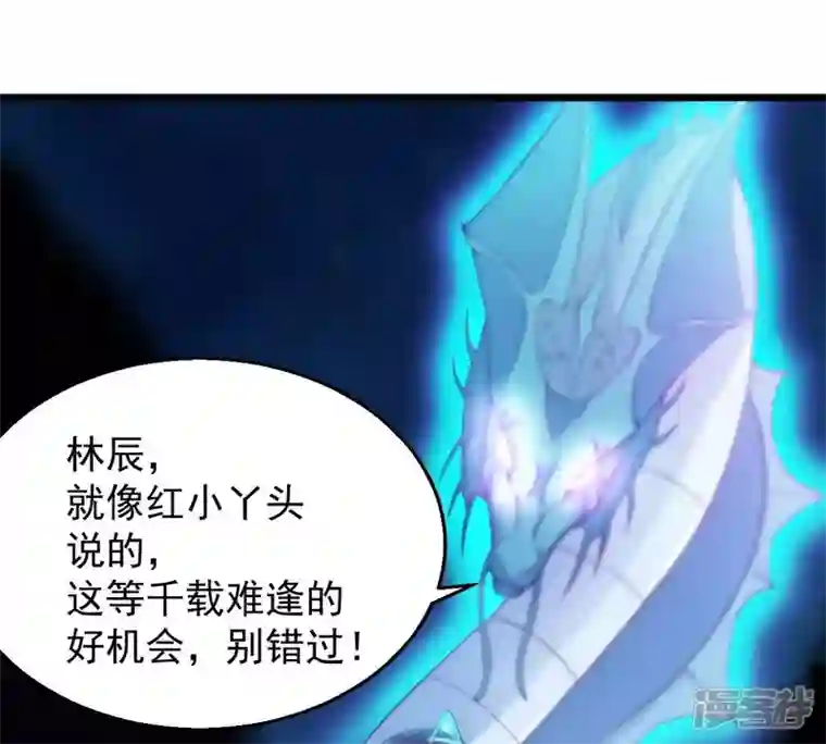 吞噬永恒第202话 新一任的红家家主