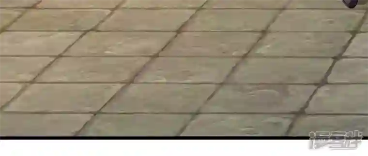 吞噬永恒第217话 天骄争夺战正式开始