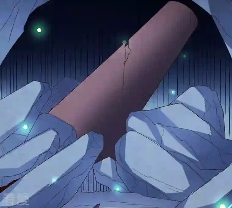 吞噬永恒第258话 圣脉之体