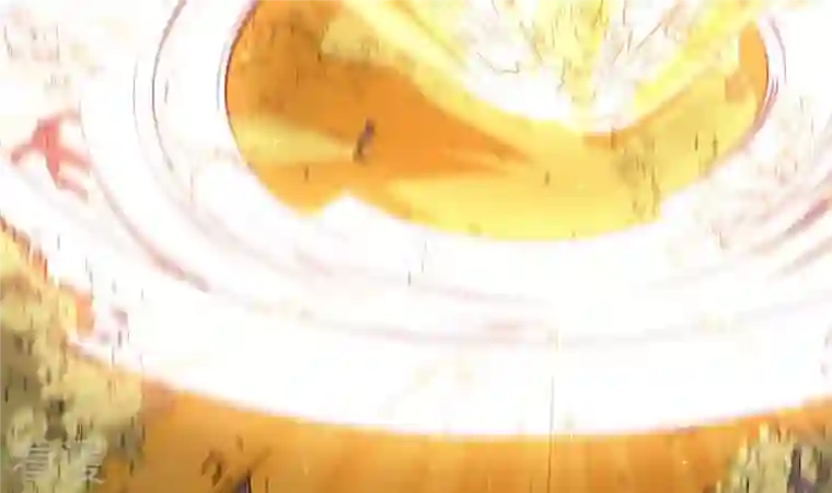 吞噬永恒第265话 死亡老祖