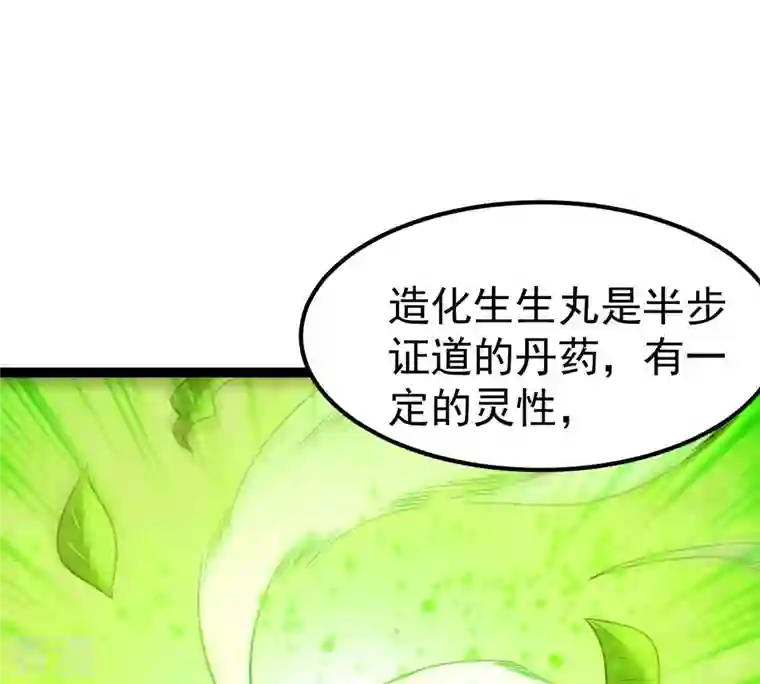 吞噬永恒第274话 造化生生丸