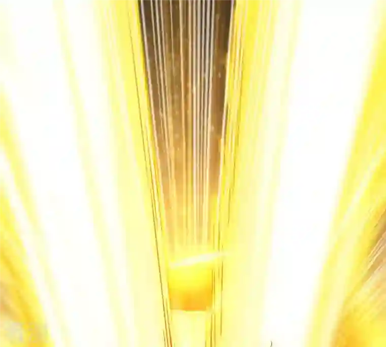 吞噬永恒第274话 造化生生丸