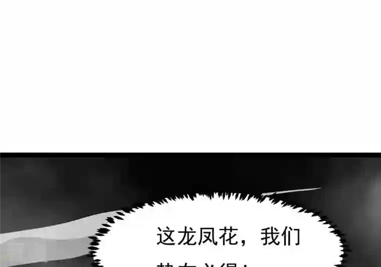吞噬永恒第291话 龙凤花我们势在必得