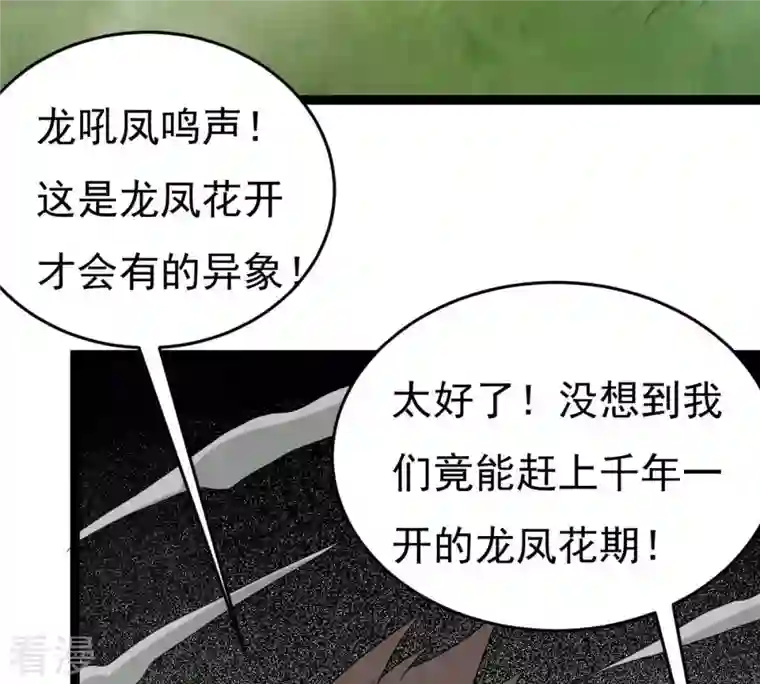 吞噬永恒第291话 龙凤花我们势在必得