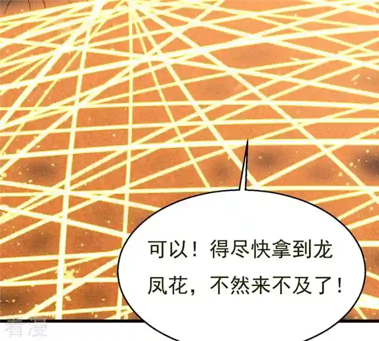 吞噬永恒第294话 龙凤花，到手！