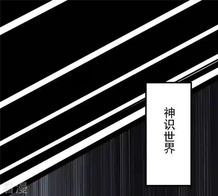 吞噬永恒第300话 欲戴王冠，必承其重