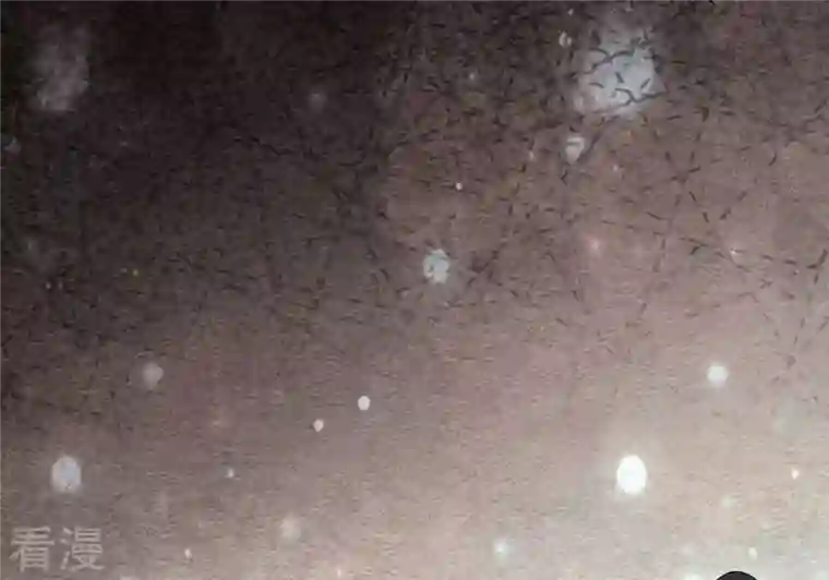 吞噬永恒第325话 争夺之人，只有这些