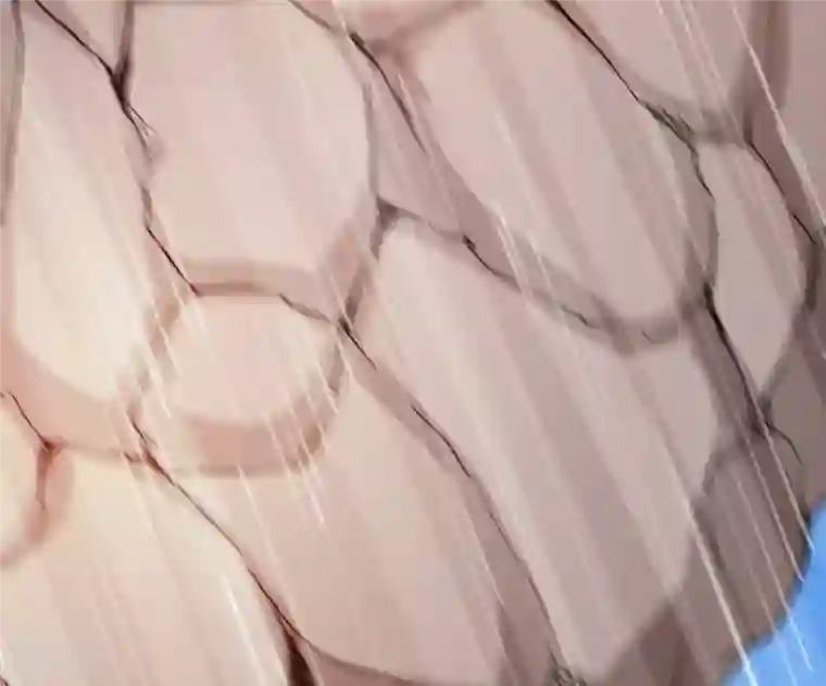 吞噬永恒第344话 我只做交易