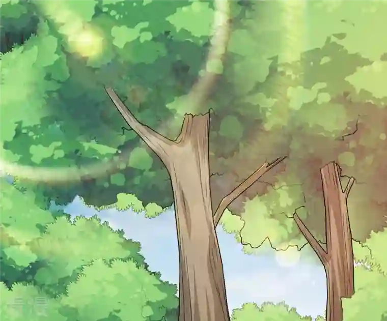 吞噬永恒第348话 暗铭