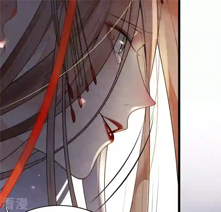 战神狂妃：凤倾天下第2话 不灭的灵魂