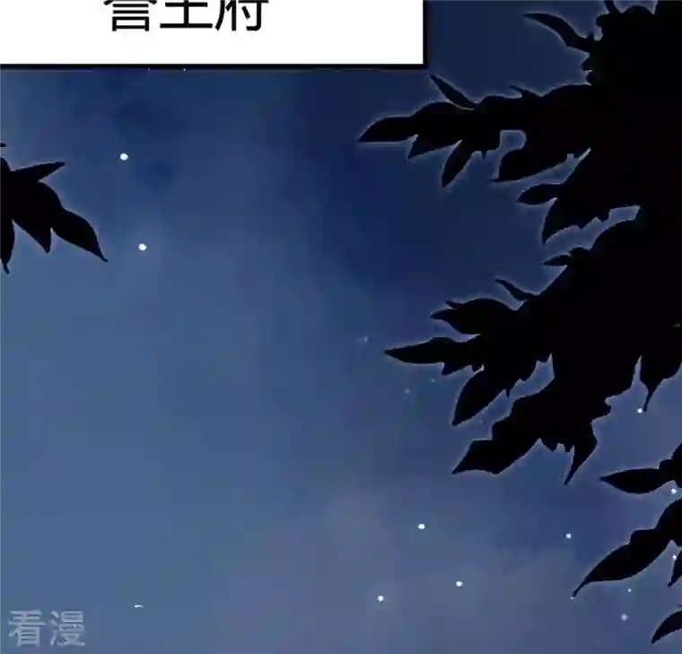 战神狂妃：凤倾天下第2话 不灭的灵魂