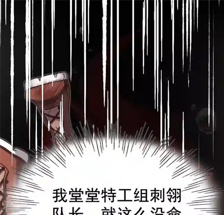 战神狂妃：凤倾天下第2话 不灭的灵魂