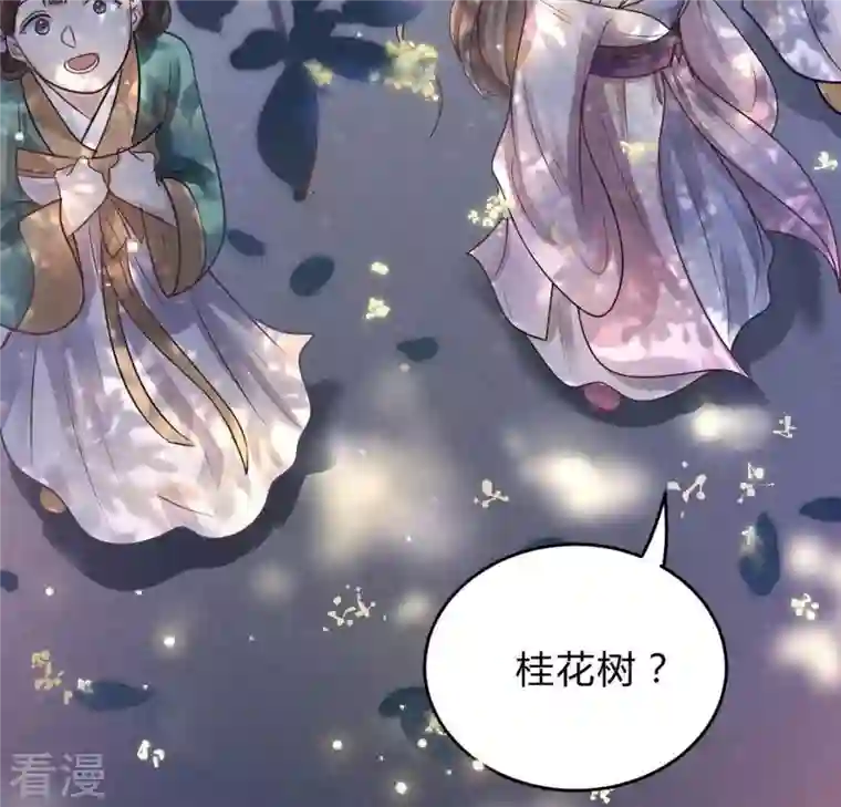 战神狂妃：凤倾天下第8话 桂花树上的阴谋