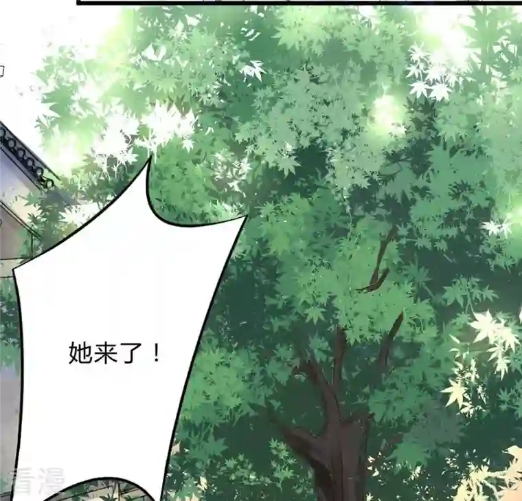 战神狂妃：凤倾天下第8话 桂花树上的阴谋