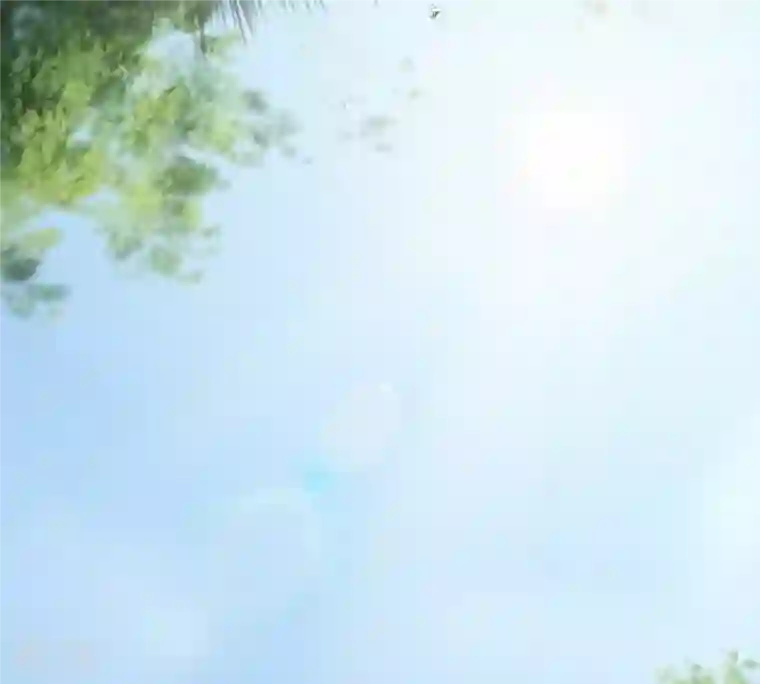 战神狂妃：凤倾天下第20话 甩得一手好锅