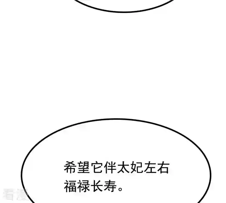 战神狂妃：凤倾天下第27话 有一种属性叫傲娇