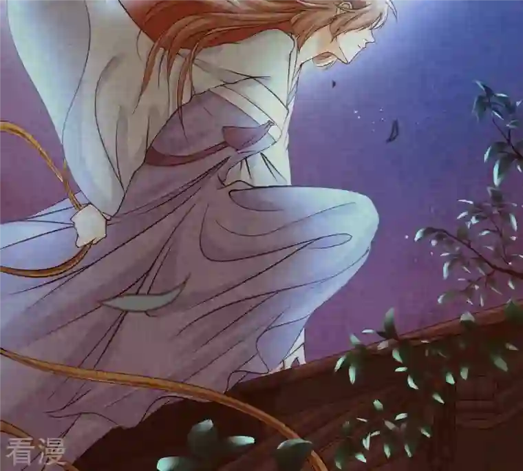 战神狂妃：凤倾天下第29话 夜访玄王