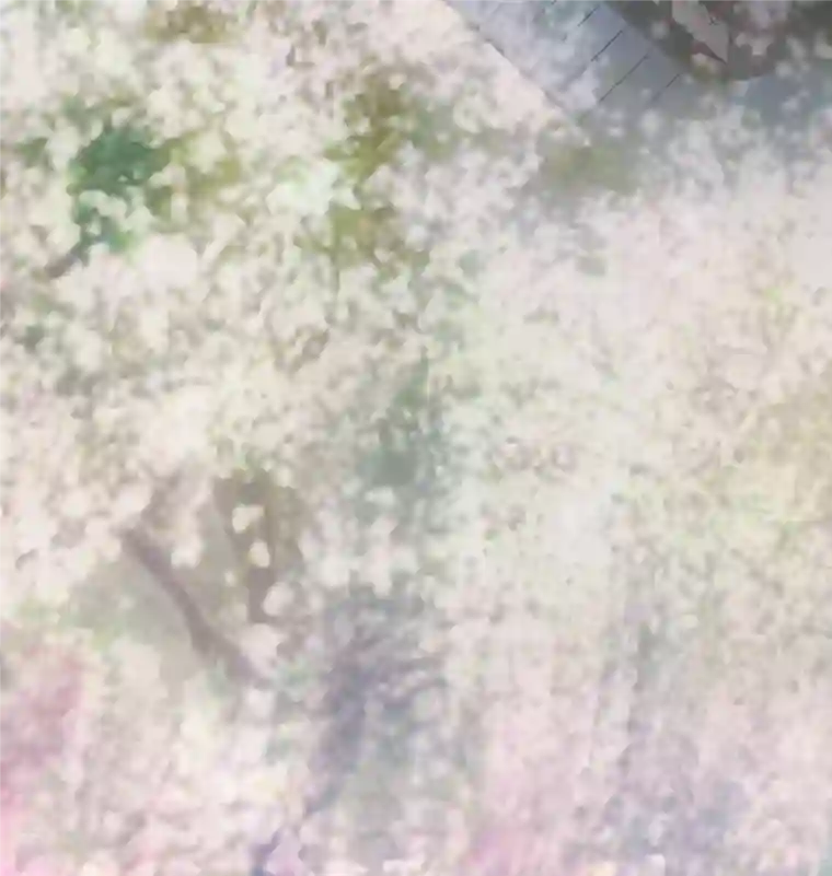 战神狂妃：凤倾天下第33话 闹掰了