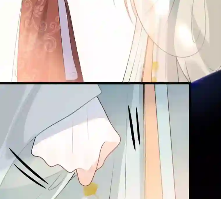 战神狂妃：凤倾天下第43话 兵不厌诈