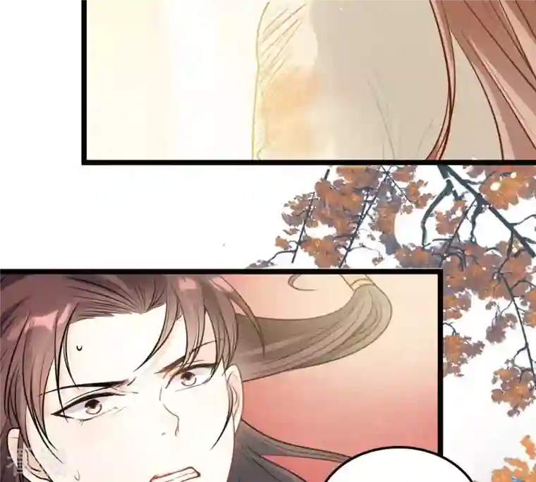 战神狂妃：凤倾天下第43话 兵不厌诈
