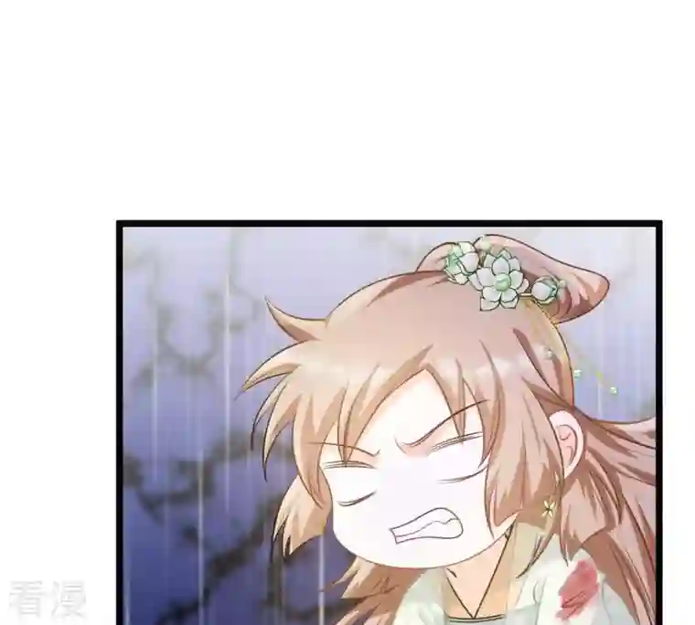 战神狂妃：凤倾天下第45话 被妖孽醇王看上？