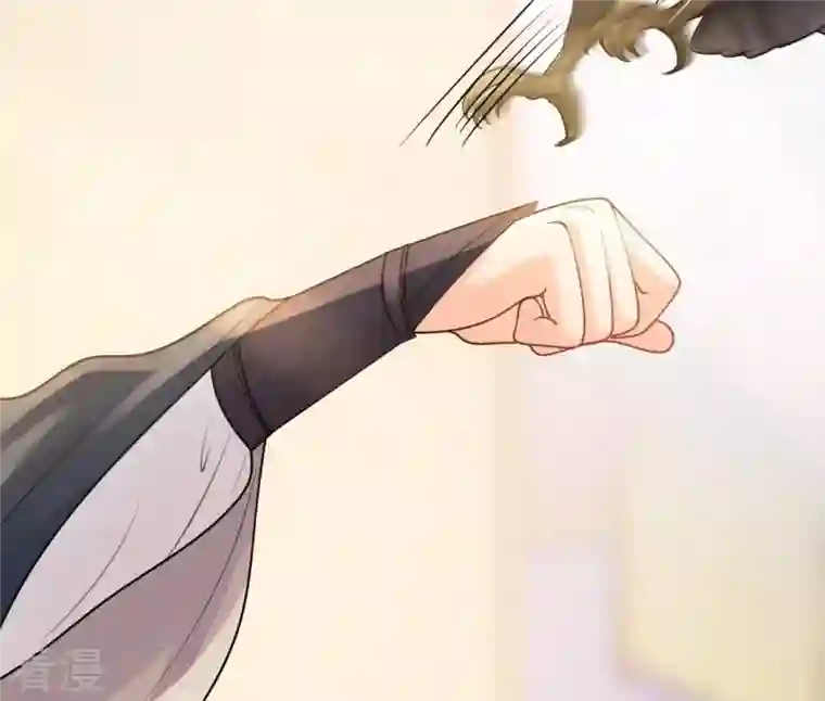 战神狂妃：凤倾天下第45话 被妖孽醇王看上？