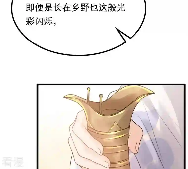 战神狂妃：凤倾天下第45话 被妖孽醇王看上？