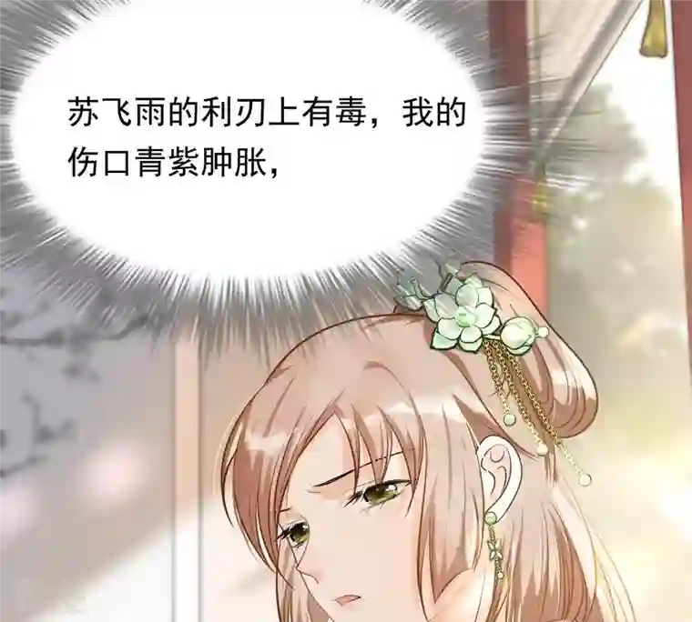 战神狂妃：凤倾天下第45话 被妖孽醇王看上？