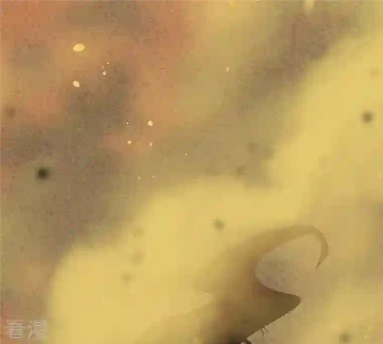 战神狂妃：凤倾天下第46话 梦醒时分