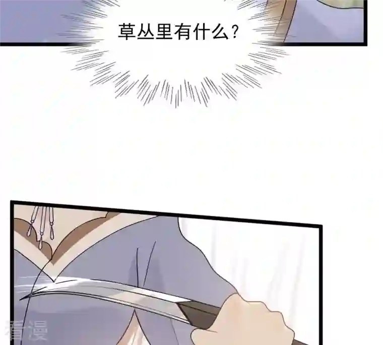 战神狂妃：凤倾天下第51话 意在毁容