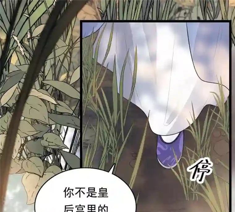 战神狂妃：凤倾天下第51话 意在毁容