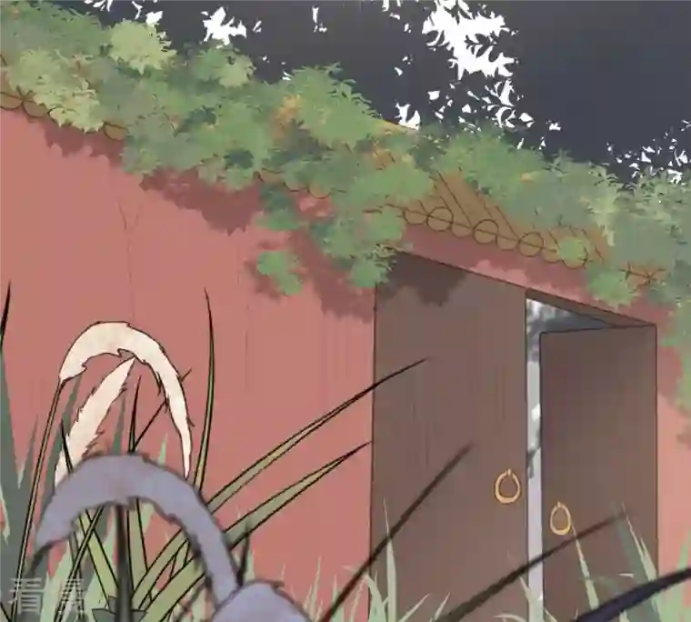 战神狂妃：凤倾天下第51话 意在毁容