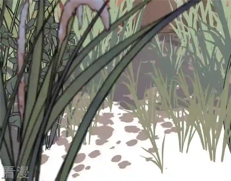 战神狂妃：凤倾天下第51话 意在毁容