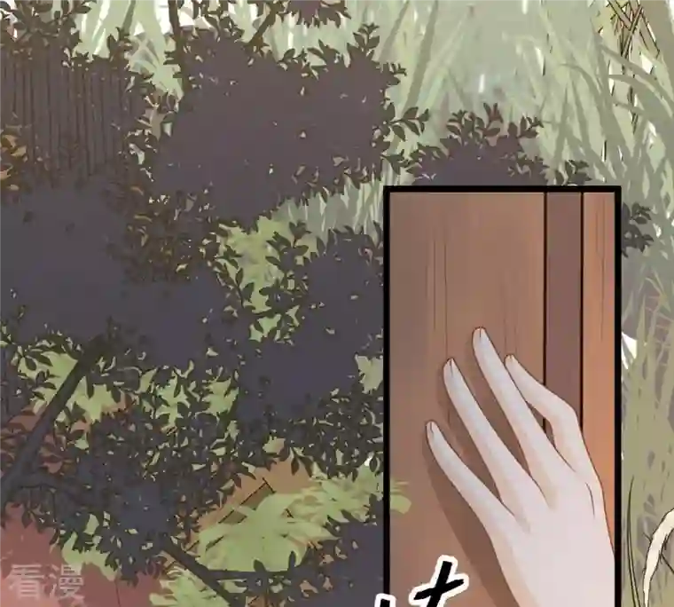 战神狂妃：凤倾天下第52话 皇帝的男宠？