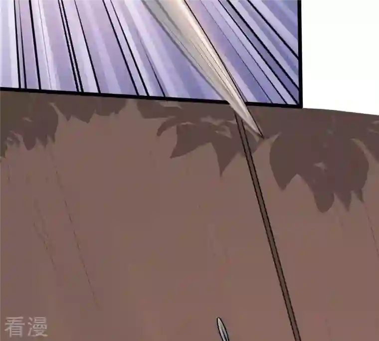 战神狂妃：凤倾天下第52话 皇帝的男宠？