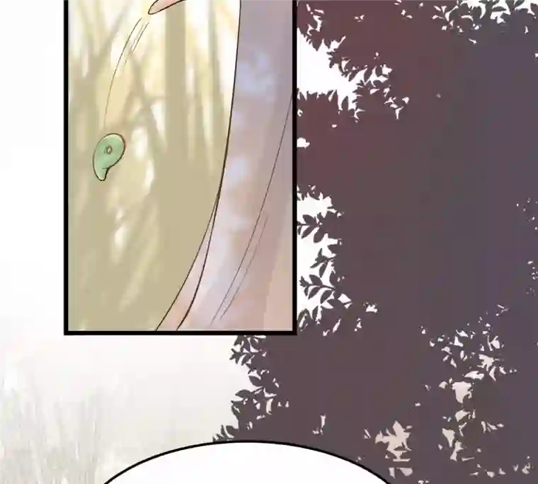 战神狂妃：凤倾天下第55话 被灭口的证人